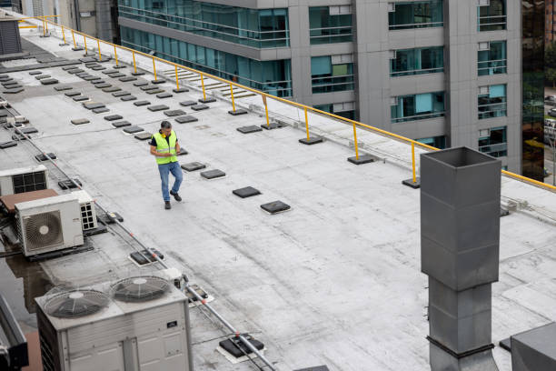 Best Skylight Installation and Repair  in Laurel Hill, NC